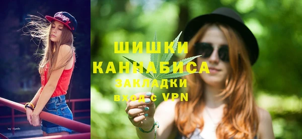 PSILOCYBIN Ростов