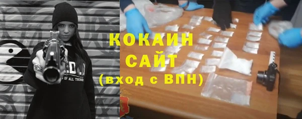 PSILOCYBIN Ростов